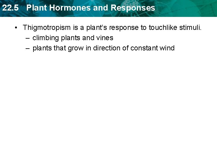 22. 5 Plant Hormones and Responses • Thigmotropism is a plant’s response to touchlike