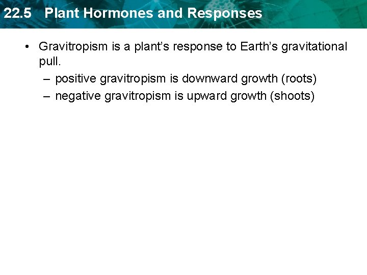 22. 5 Plant Hormones and Responses • Gravitropism is a plant’s response to Earth’s