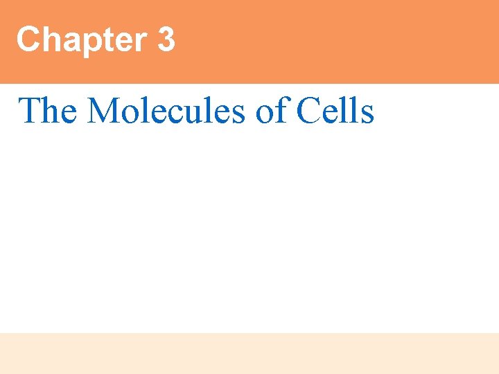 Chapter 3 The Molecules of Cells Got Lactose