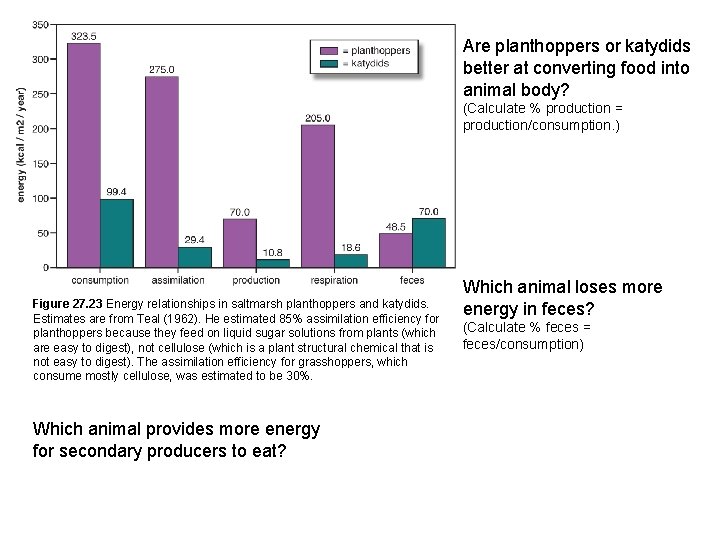 Are planthoppers or katydids better at converting food into animal body? (Calculate % production