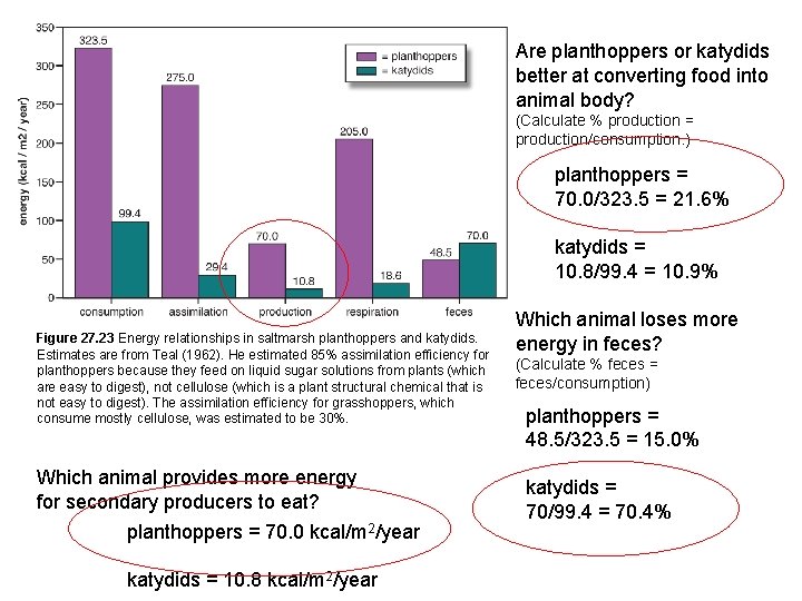 Are planthoppers or katydids better at converting food into animal body? (Calculate % production