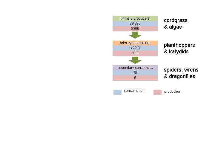 primary producers 36, 380 8200 cordgrass & algae primary consumers 422. 9 80. 8