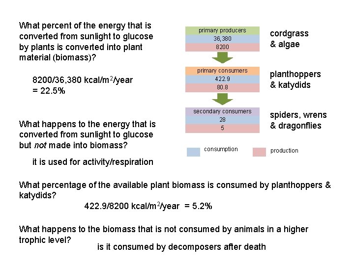 What percent of the energy that is converted from sunlight to glucose by plants