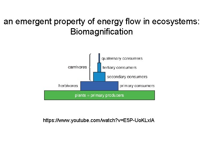 an emergent property of energy flow in ecosystems: Biomagnification https: //www. youtube. com/watch? v=E