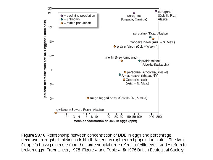 Figure 29. 16 Relationship between concentration of DDE in eggs and percentage decrease in