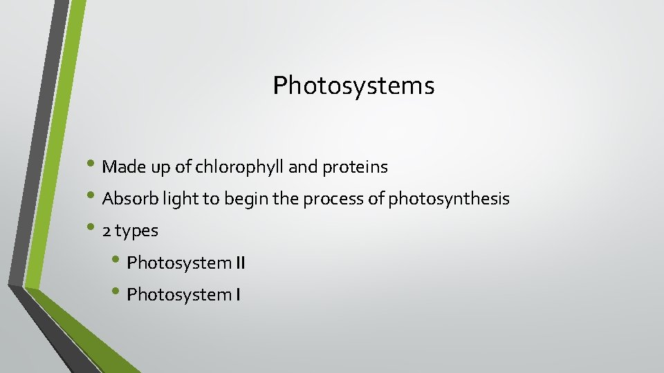 Photosystems • Made up of chlorophyll and proteins • Absorb light to begin the