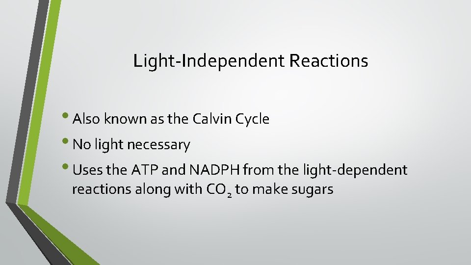 Light-Independent Reactions • Also known as the Calvin Cycle • No light necessary •