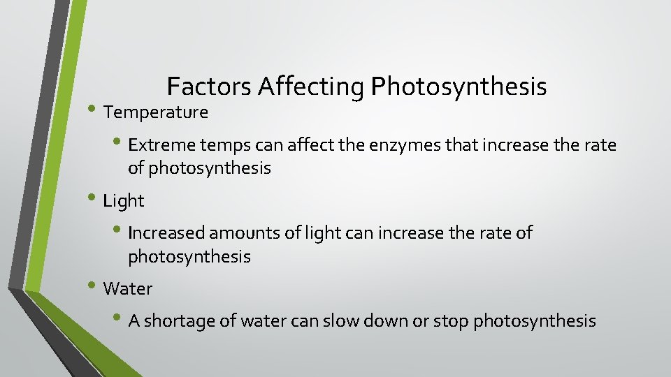 Factors Affecting Photosynthesis • Temperature • Extreme temps can affect the enzymes that increase