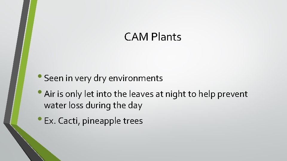 CAM Plants • Seen in very dry environments • Air is only let into