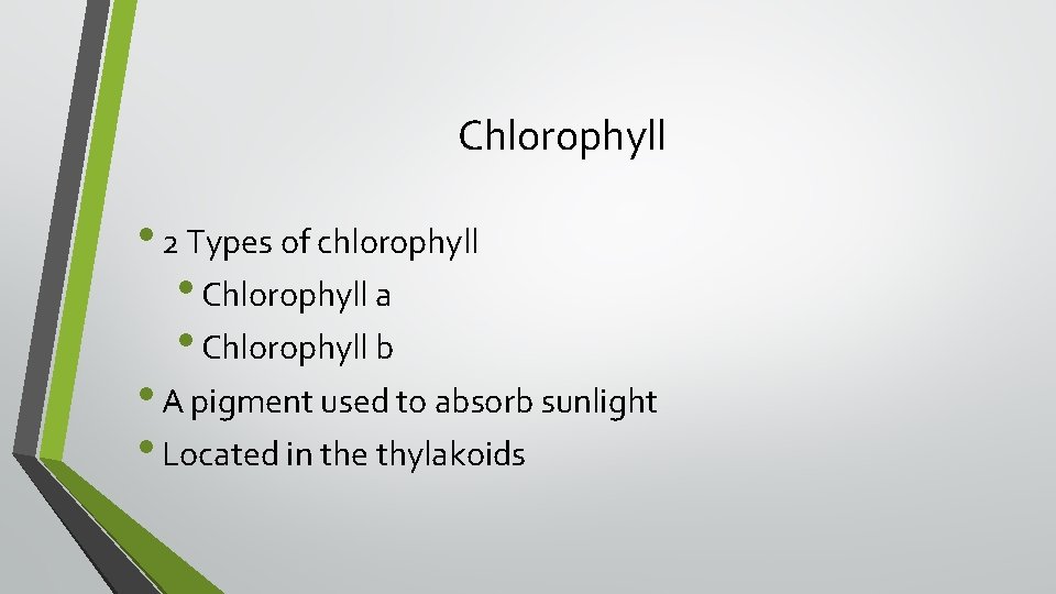 Chlorophyll • 2 Types of chlorophyll • Chlorophyll a • Chlorophyll b • A