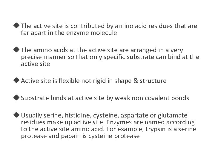  The active site is contributed by amino acid residues that are far apart