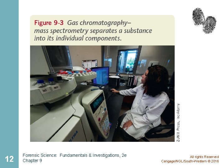 12 Forensic Science: Fundamentals & Investigations, 2 e Chapter 9 All rights Reserved Cengage/NGL/South-Western