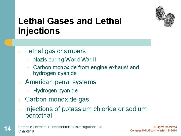 Lethal Gases and Lethal Injections o Lethal gas chambers • • o American penal