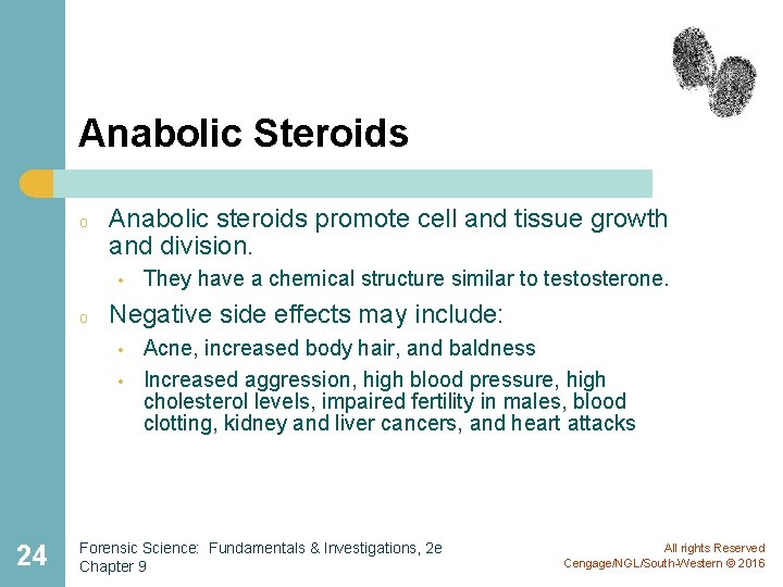 Anabolic Steroids o Anabolic steroids promote cell and tissue growth and division. • o