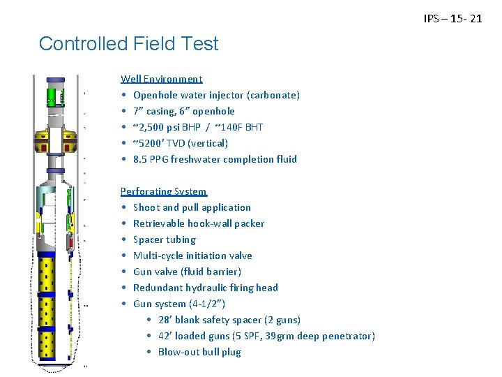IPS – 15 - 21 Controlled Field Test Well Environment • Openhole water injector