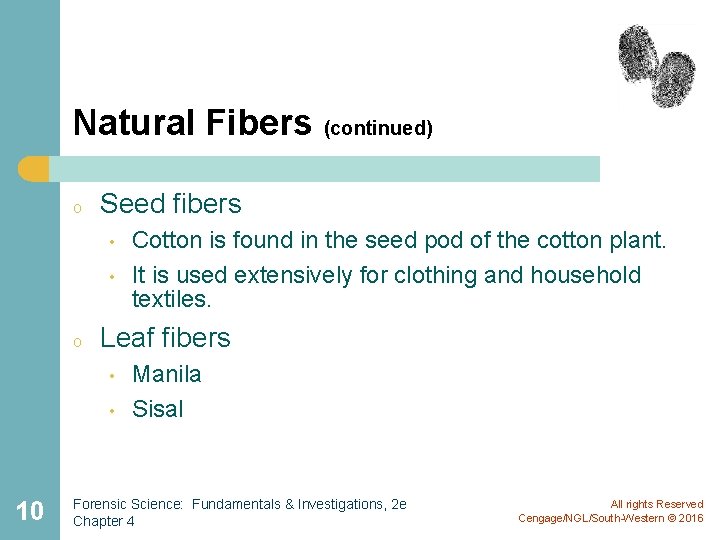 Natural Fibers (continued) o Seed fibers • • o Leaf fibers • • 10