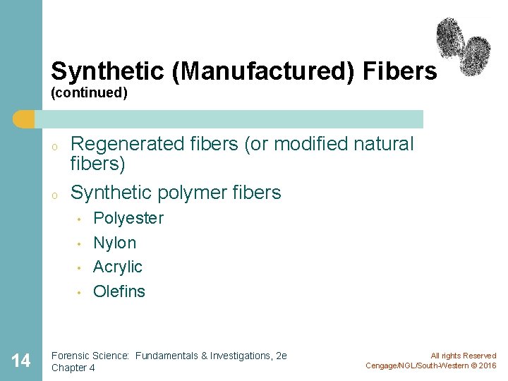 Synthetic (Manufactured) Fibers (continued) o o Regenerated fibers (or modified natural fibers) Synthetic polymer