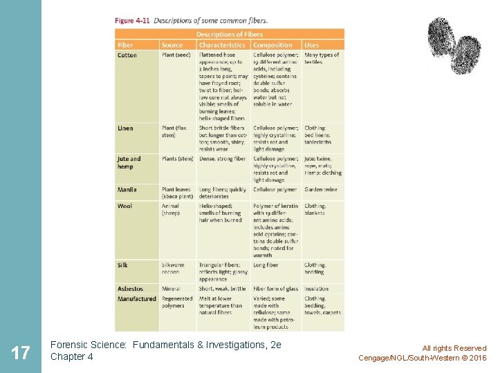 17 Forensic Science: Fundamentals & Investigations, 2 e Chapter 4 All rights Reserved Cengage/NGL/South-Western