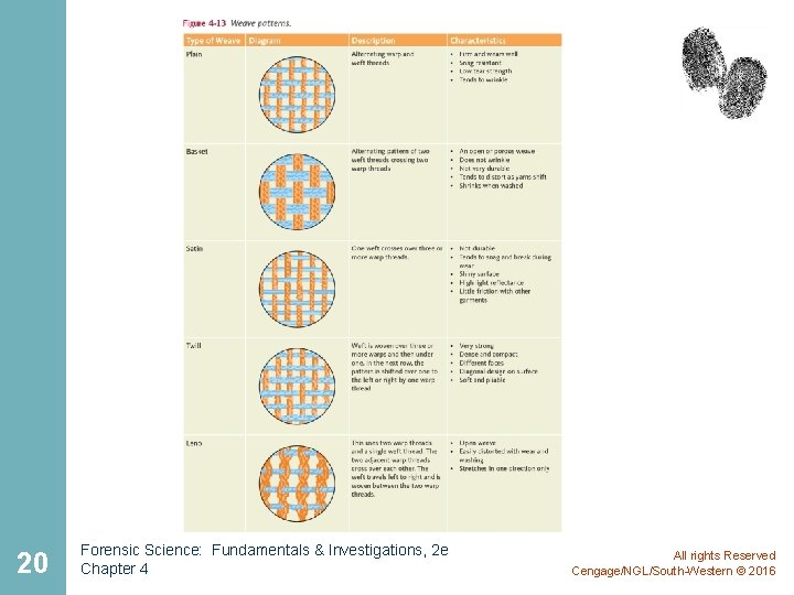 20 Forensic Science: Fundamentals & Investigations, 2 e Chapter 4 All rights Reserved Cengage/NGL/South-Western