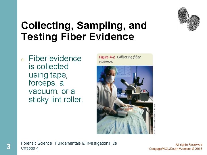 Collecting, Sampling, and Testing Fiber Evidence o 3 Fiber evidence is collected using tape,