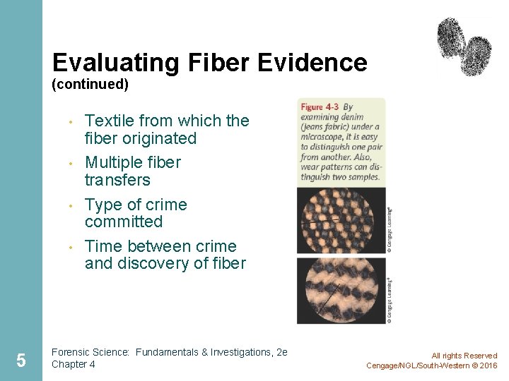 Evaluating Fiber Evidence (continued) • • 5 Textile from which the fiber originated Multiple