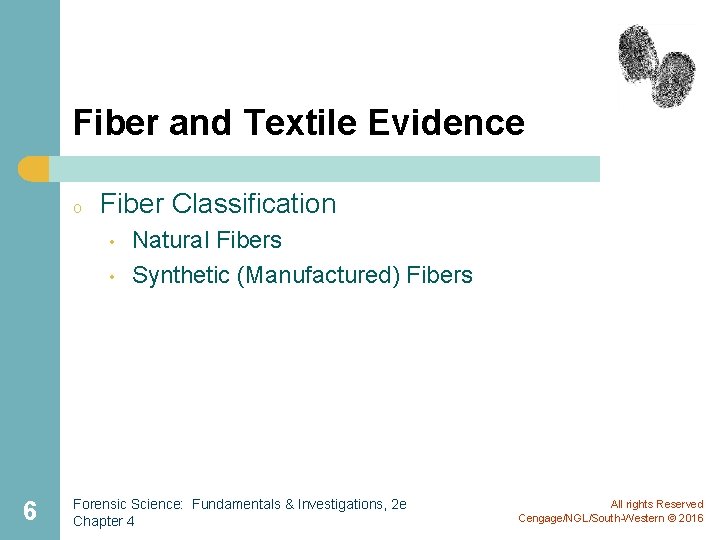 Fiber and Textile Evidence o Fiber Classification • • 6 Natural Fibers Synthetic (Manufactured)