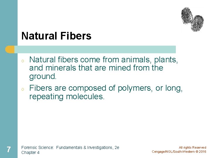 Natural Fibers o o 7 Natural fibers come from animals, plants, and minerals that