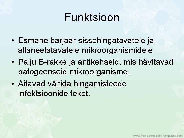 Funktsioon • Esmane barjäär sissehingatavatele ja allaneelatavatele mikroorganismidele • Palju B-rakke ja antikehasid, mis
