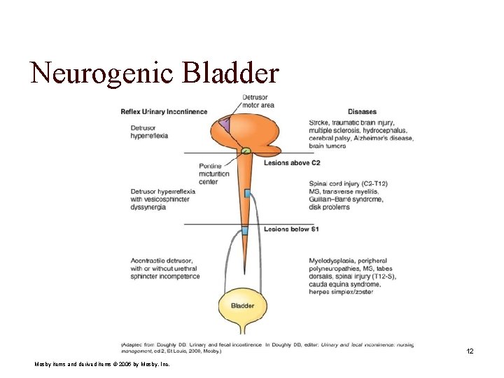 Neurogenic Bladder 12 Mosby items and derived items © 2006 by Mosby, Inc. 