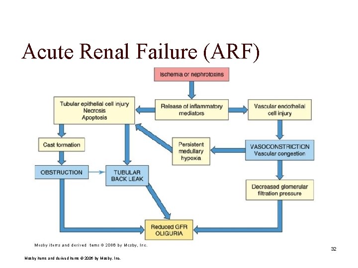 Acute Renal Failure (ARF) 32 Mosby items and derived items © 2006 by Mosby,