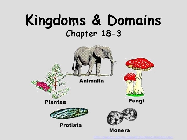 Kingdoms & Domains Chapter 18 -3 http: //analyzer. depaul. edu/astrobiology/kingdoms. jpg 