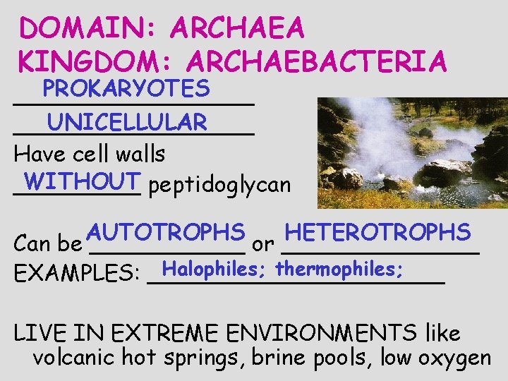 DOMAIN: ARCHAEA KINGDOM: ARCHAEBACTERIA PROKARYOTES _________ UNICELLULAR _________ Have cell walls WITHOUT peptidoglycan _____