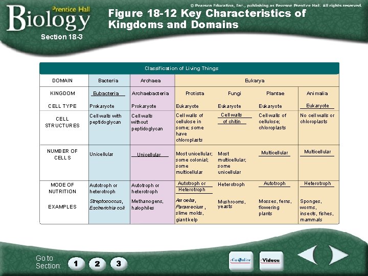 Figure 18 -12 Key Characteristics of Kingdoms and Domains Section 18 -3 Classification of