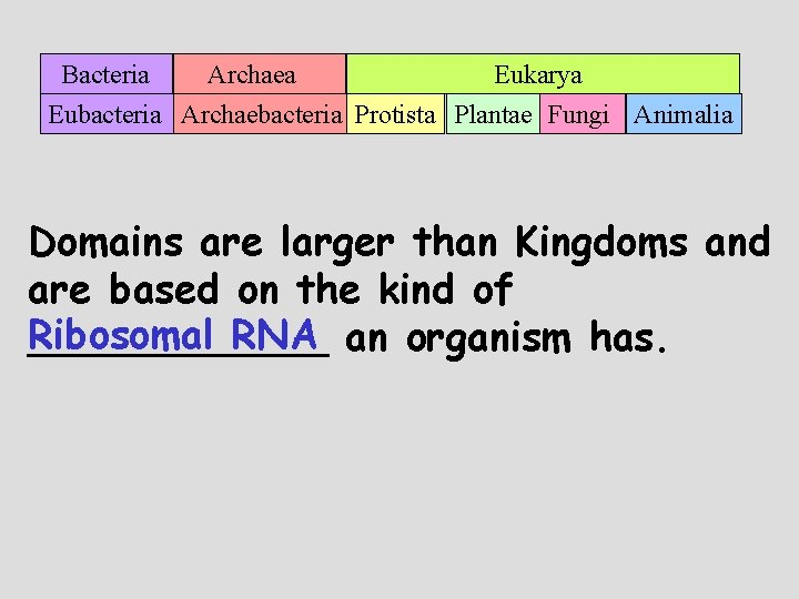 Bacteria Archaea Eukarya Eubacteria Archaebacteria Protista Plantae Fungi Animalia Domains are larger than Kingdoms