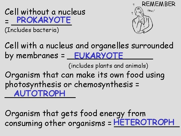 Cell without a nucleus PROKARYOTE = ______ REMEMBER (Includes bacteria) Cell with a nucleus