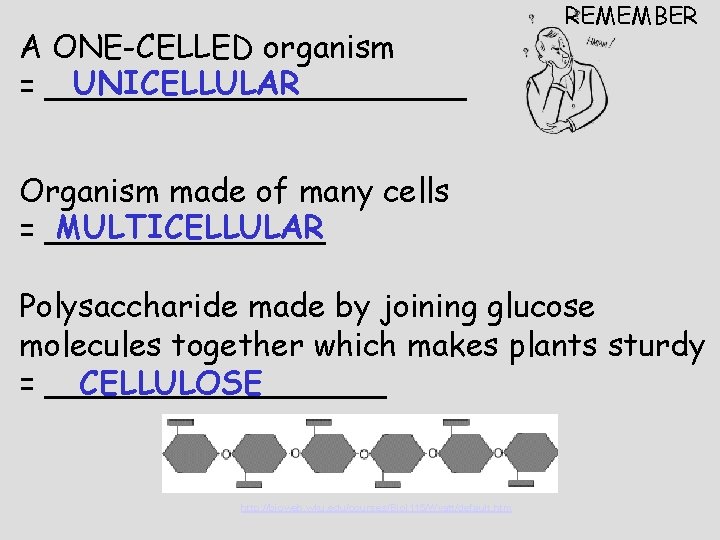 A ONE-CELLED organism UNICELLULAR = ___________ REMEMBER Organism made of many cells MULTICELLULAR =