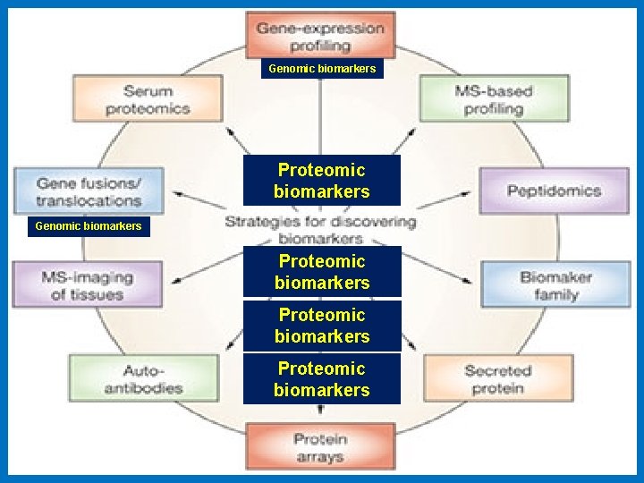Genomic biomarkers Proteomic biomarkers Genomic biomarkers Proteomic biomarkers