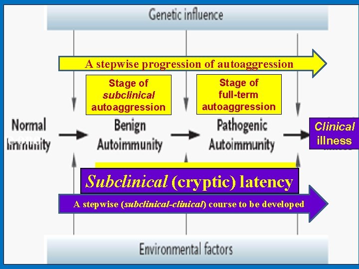 A stepwise progression of autoaggression Stage of subclinical autoaggression Stage of full-term autoaggression Clinical A stepwise progression of autoaggression Stage of subclinical autoaggression Stage of full-term autoaggression Clinical