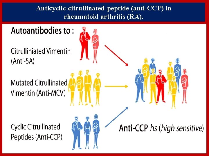 Anticyclic-citrullinated-peptide (anti-CCP) in rheumatoid arthritis (RA). Anticyclic-citrullinated-peptide (anti-CCP) in rheumatoid arthritis (RA).