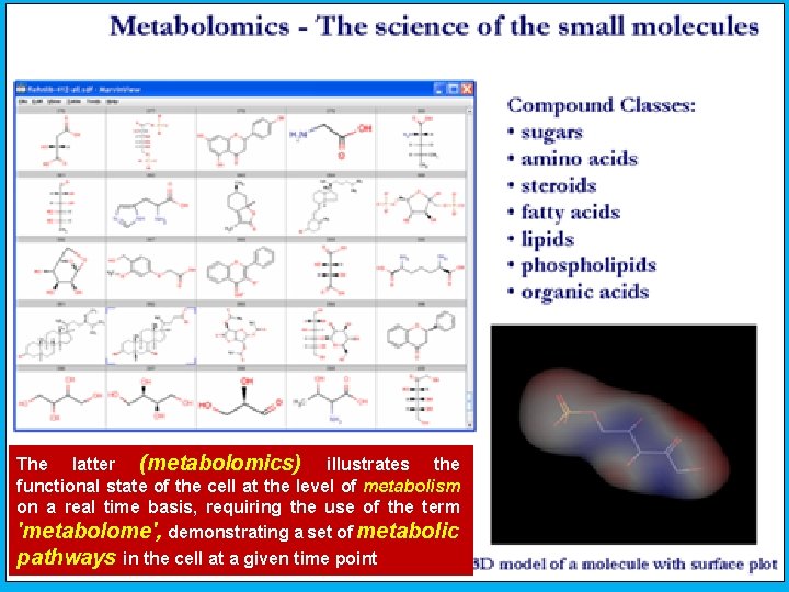 The latter (metabolomics) illustrates the functional state of the cell at the level of The latter (metabolomics) illustrates the functional state of the cell at the level of