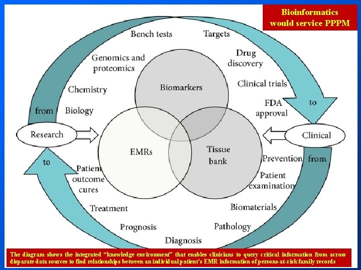 Bioinformatics would service PPPM The diagram shows the integrated “knowledge environment” that enables clinicians Bioinformatics would service PPPM The diagram shows the integrated “knowledge environment” that enables clinicians