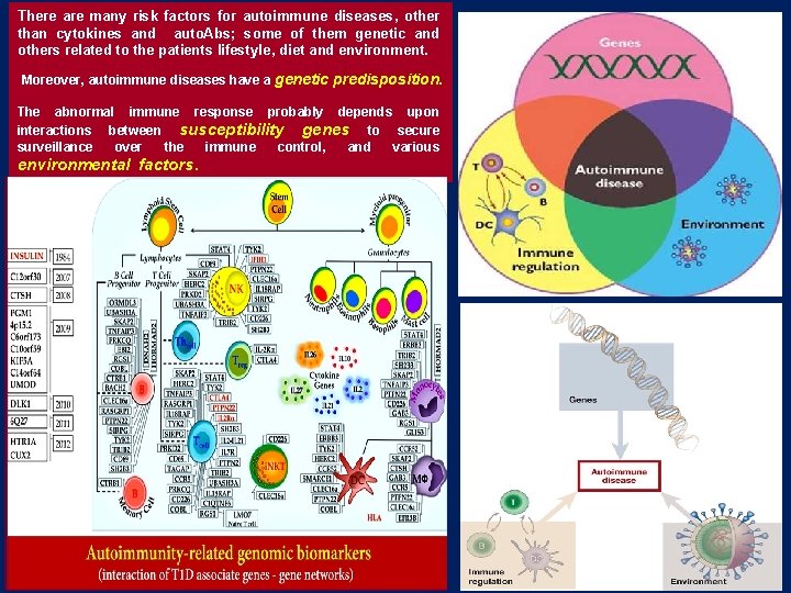 There are many risk factors for autoimmune diseases, other than cytokines and auto. Abs; There are many risk factors for autoimmune diseases, other than cytokines and auto. Abs;
