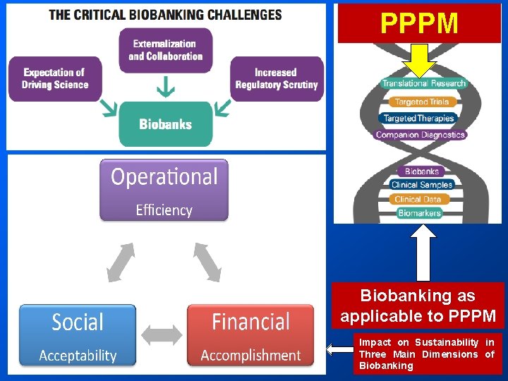 PPPM Biobanking as applicable to PPPM Impact on Sustainability in Three Main Dimensions of PPPM Biobanking as applicable to PPPM Impact on Sustainability in Three Main Dimensions of