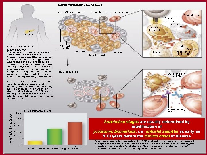 Subclinical stages are usually determined by identification of proteomic biomarkers, i. e. , antiislet Subclinical stages are usually determined by identification of proteomic biomarkers, i. e. , antiislet