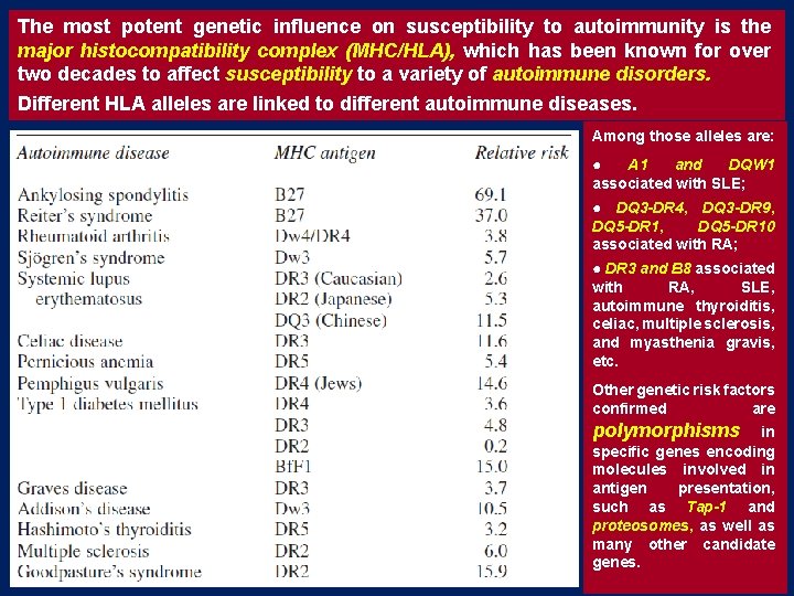The most potent genetic influence on susceptibility to autoimmunity is the major histocompatibility complex The most potent genetic influence on susceptibility to autoimmunity is the major histocompatibility complex