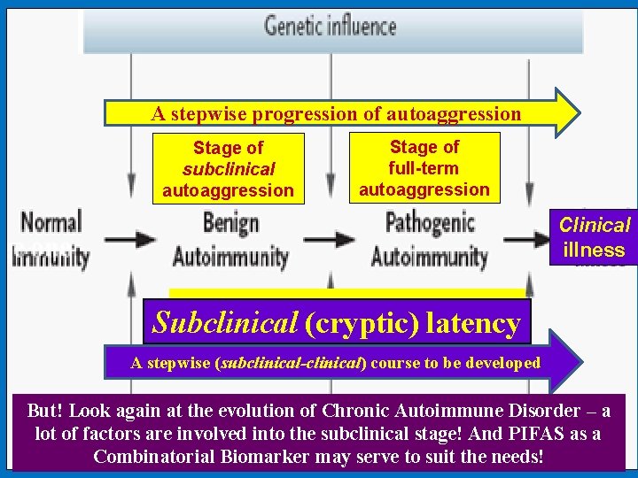 A stepwise progression of autoaggression Stage of subclinical autoaggression Stage of full-term autoaggression Clinical A stepwise progression of autoaggression Stage of subclinical autoaggression Stage of full-term autoaggression Clinical