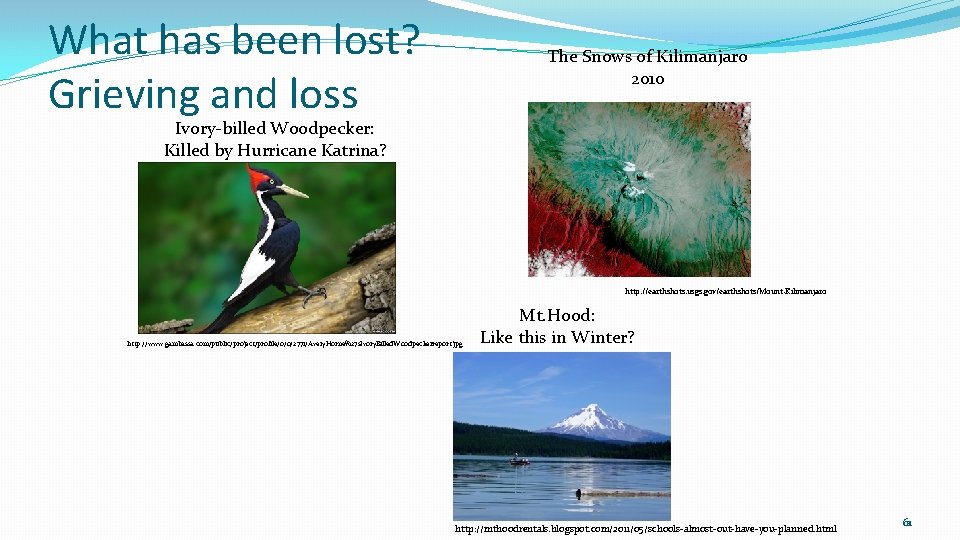 What has been lost? Grieving and loss The Snows of Kilimanjaro 2010 Ivory-billed Woodpecker: