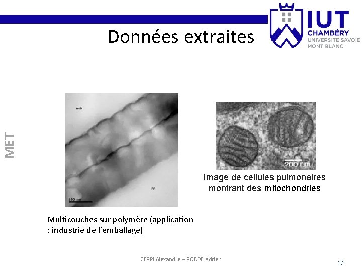 MET Données extraites Image de cellules pulmonaires montrant des mitochondries Multicouches sur polymère (application