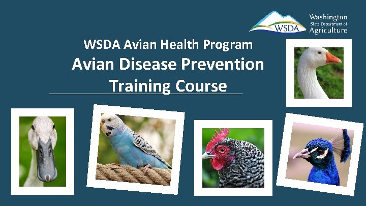 WSDA Avian Health Program Avian Disease Prevention Training Course 