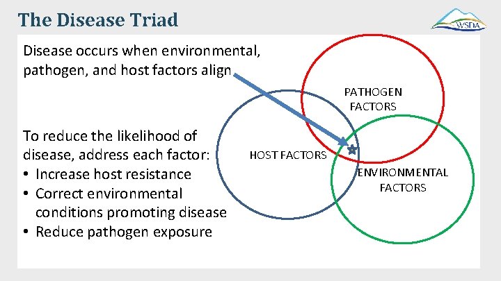 The Disease Triad Disease occurs when environmental, pathogen, and host factors align PATHOGEN FACTORS